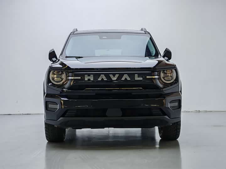 Haval H-Dog Hybrid 2026 2026款 Hi4 150km 潮电版