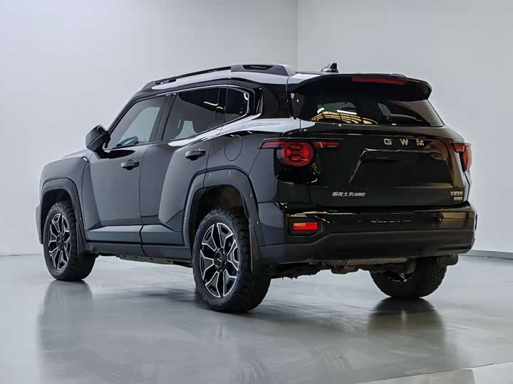 Haval H-Dog Hybrid 2026 2026款 Hi4 150km 潮电版