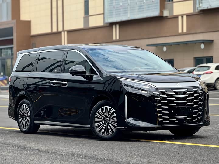 BYD Xia 2025 2025款 DM-i 1.5T 100km 超越型