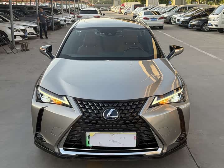 Lexus UX Hybrid 2020 2020款 300e 纯·悦版