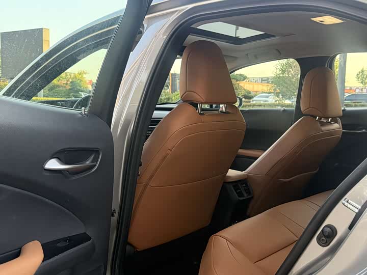 Lexus UX Hybrid 2020 2020款 300e 纯·悦版