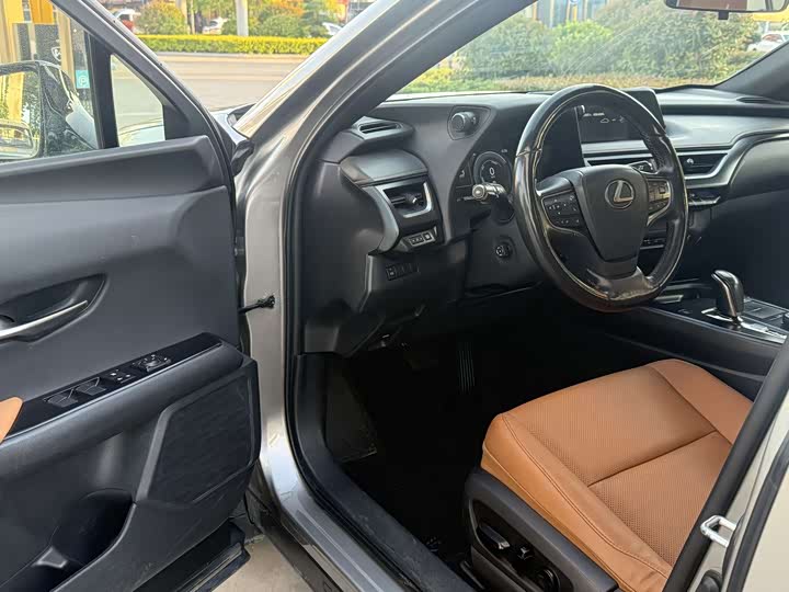 Lexus UX Hybrid 2020 2020款 300e 纯·悦版