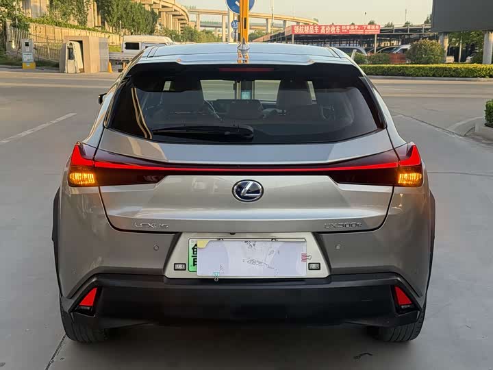 Lexus UX Hybrid 2020 2020款 300e 纯·悦版