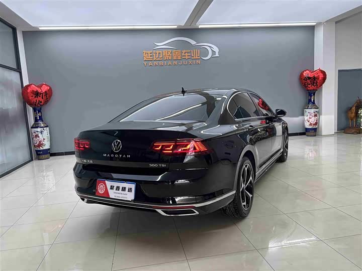 Volkswagen Magotan 2026 2026款 3000万辆甄选款 380TSI DSG豪华型