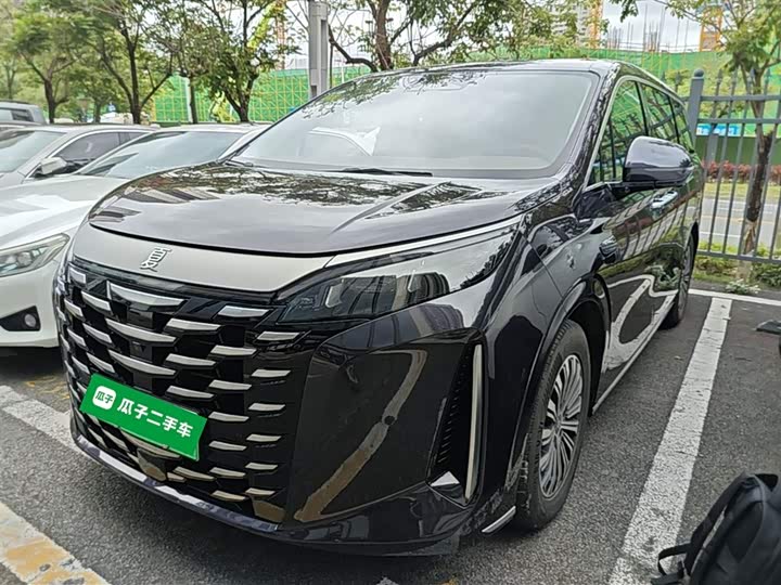 BYD Xia 2025 2025款 DM-i 1.5T 180km 卓越型