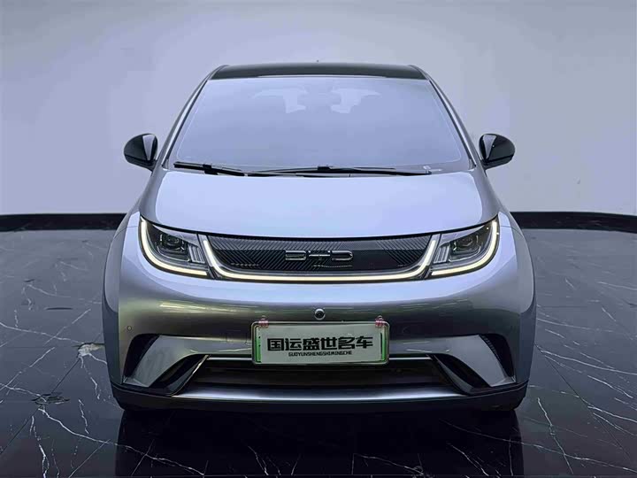 Фото 2 - BYD Dolphin
