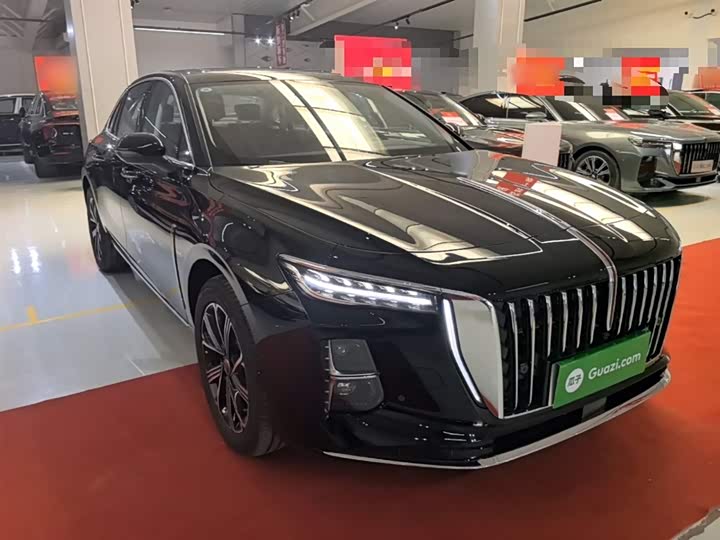 Фото 4 - Hongqi H5 Hybrid