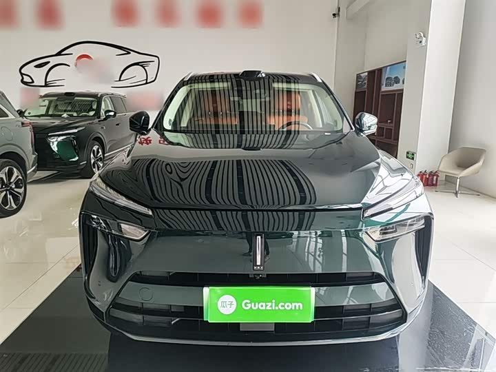 Wey Lanshan 2025 2025款 四驱 Max