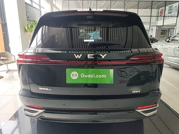 Wey Lanshan 2025 2025款 四驱 Max