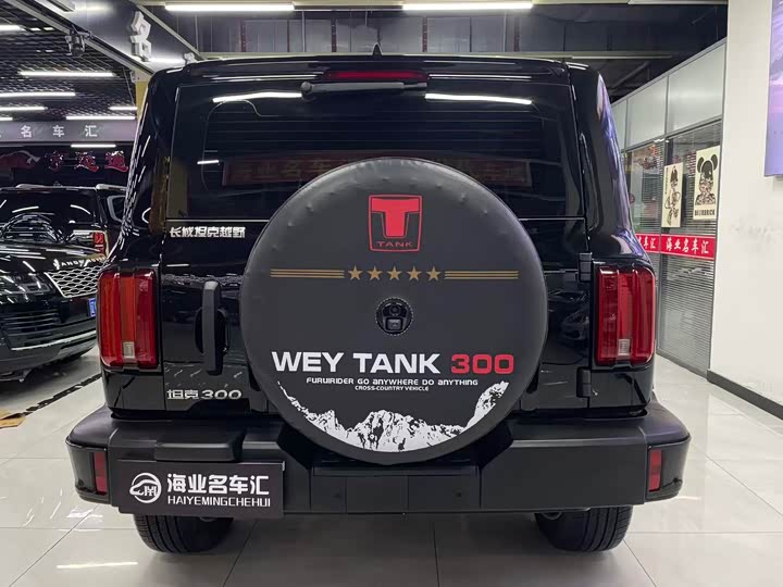Tank 300 2025 2025款 2.0T 汽油挑战者