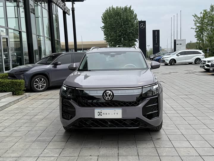 Фото 2 - Volkswagen Teramont Pro