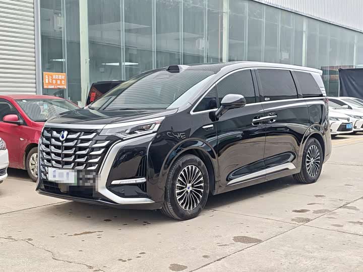 2025 Denza D9