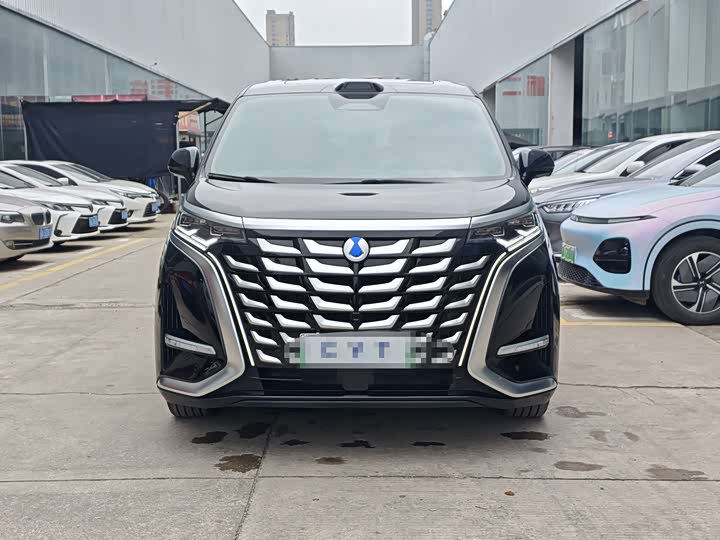2025 Denza D9