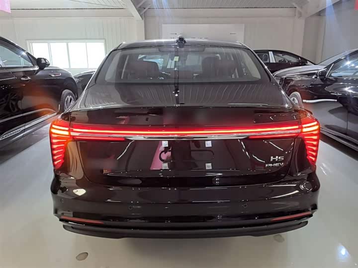 Фото 6 - Hongqi H5 Hybrid