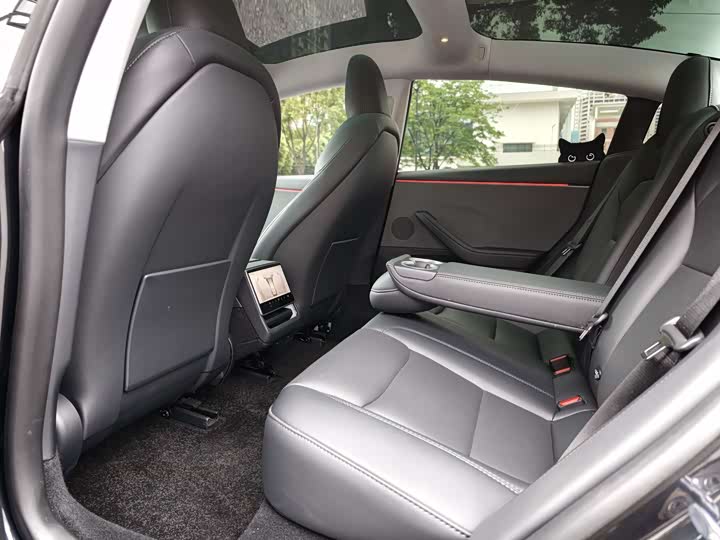 Tesla Model 3 2025 2025款 后轮驱动版