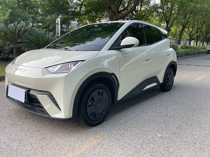 2025 BYD Seagull