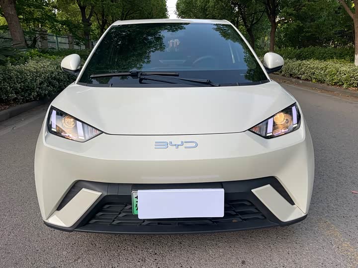 2025 BYD Seagull