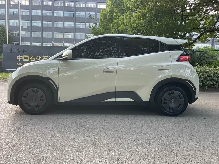 2025 BYD Seagull