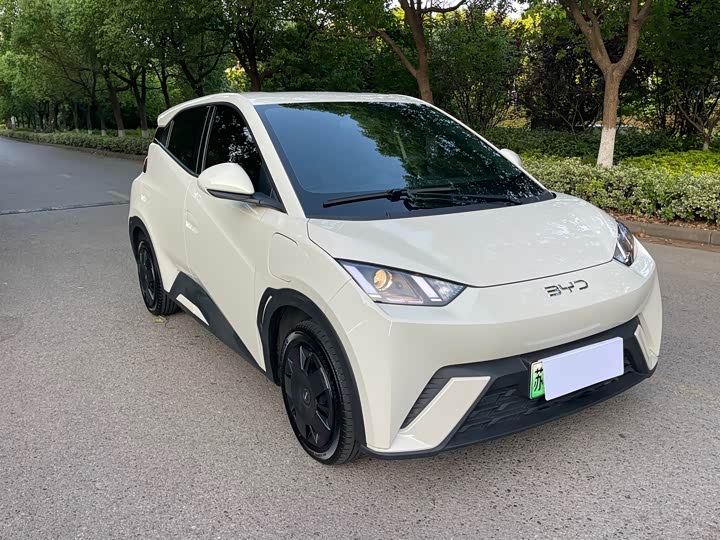 2025 BYD Seagull