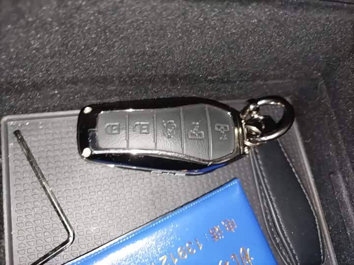 BYD Xia 2025 2025款 DM-i 1.5T 180km 超越型