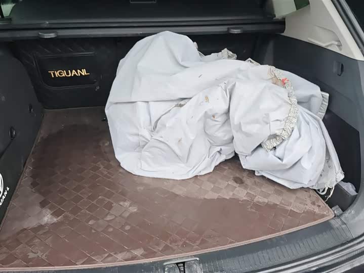 Volkswagen Tiguan L Hybrid 2023 2023款 430PHEV 插电混动旗舰版