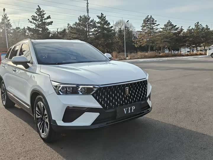 Bestune T77 2021 2021款 PRO 280 TID 自动豪华型