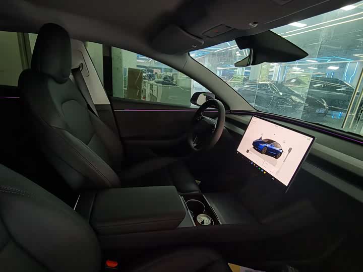 Tesla Model 3 2025 2025款 长续航全轮驱动版