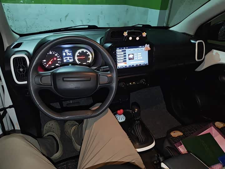 Roewe Clever 2022 2022款 311km元气啵啵版