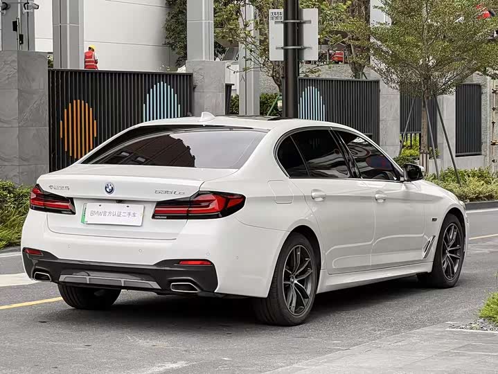 Фото 4 - BMW 5 Series Hybrid