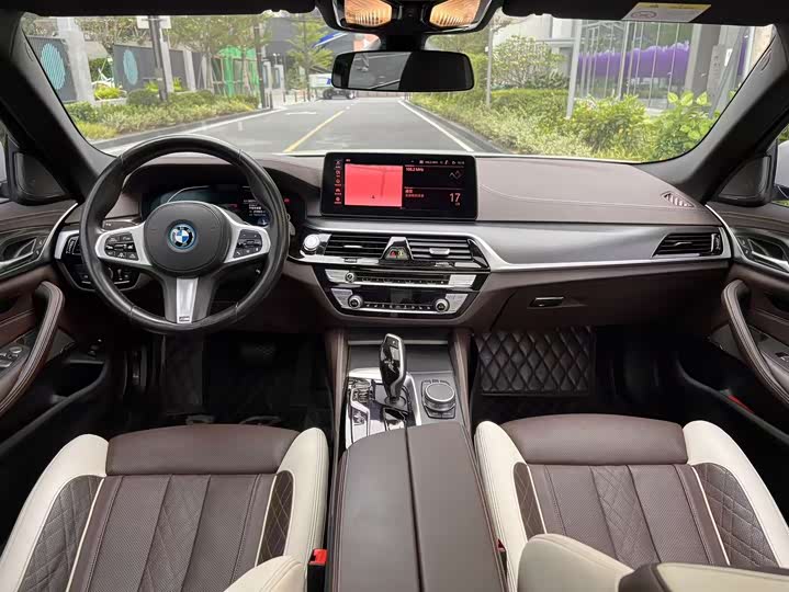 Фото 8 - BMW 5 Series Hybrid