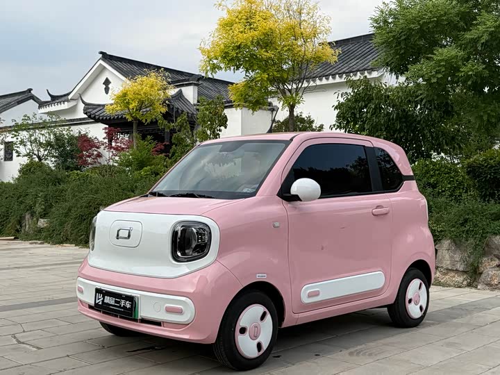 Bestune Pony 2024 2024款 170km 活力马