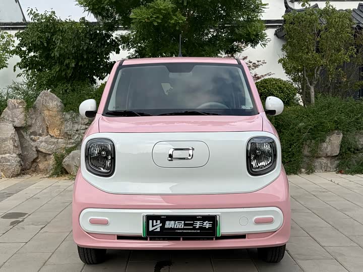Bestune Pony 2024 2024款 170km 活力马