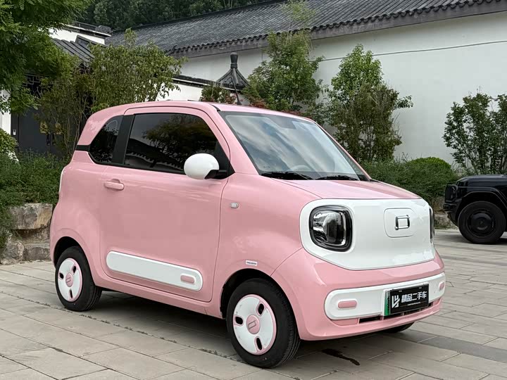Bestune Pony 2024 2024款 170km 活力马