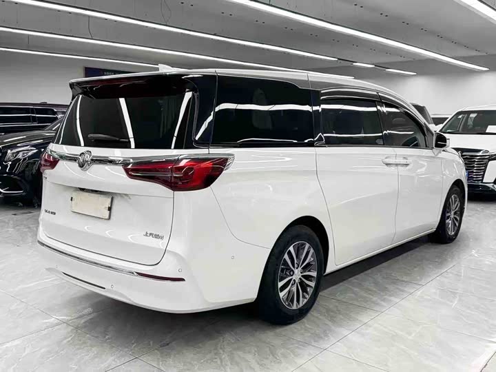 Фото 6 - Buick GL8 ES