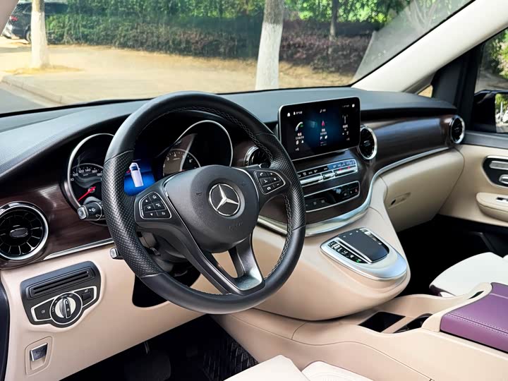 Mercedes-Benz V-Class 2022 2022款 V 260 领航版