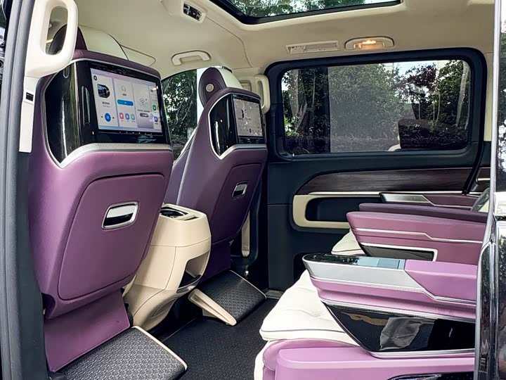 Mercedes-Benz V-Class 2022 2022款 V 260 领航版