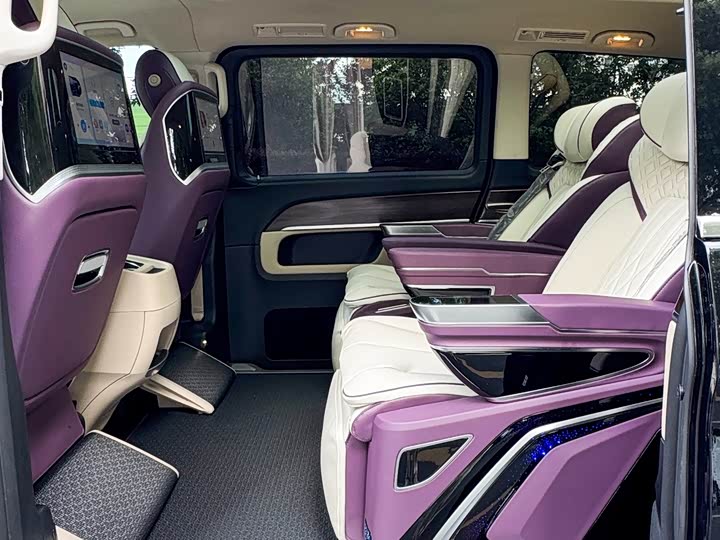 Mercedes-Benz V-Class 2022 2022款 V 260 领航版