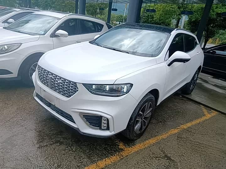 2021 Wey VV5