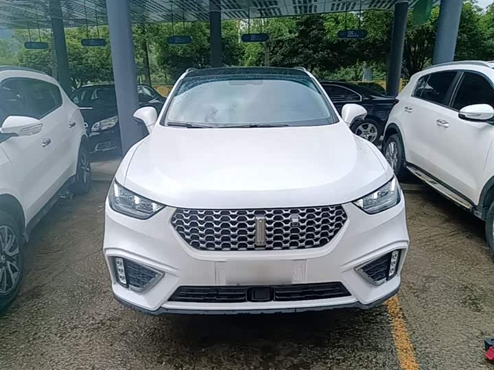 2021 Wey VV5