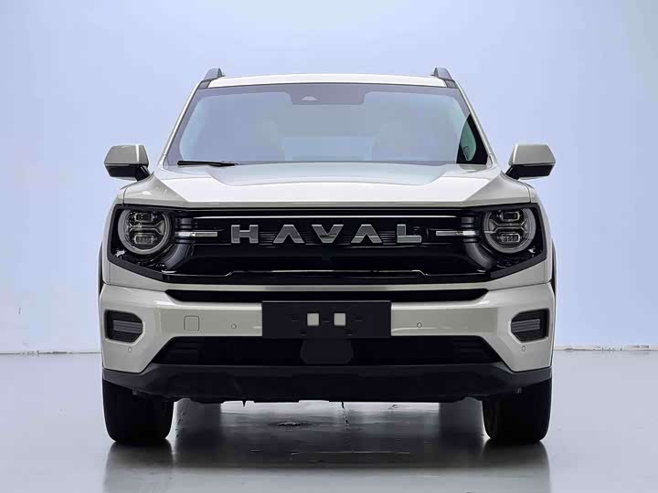 Haval H-Dog Hybrid 2026 2026款 Hi4 150km 潮电版