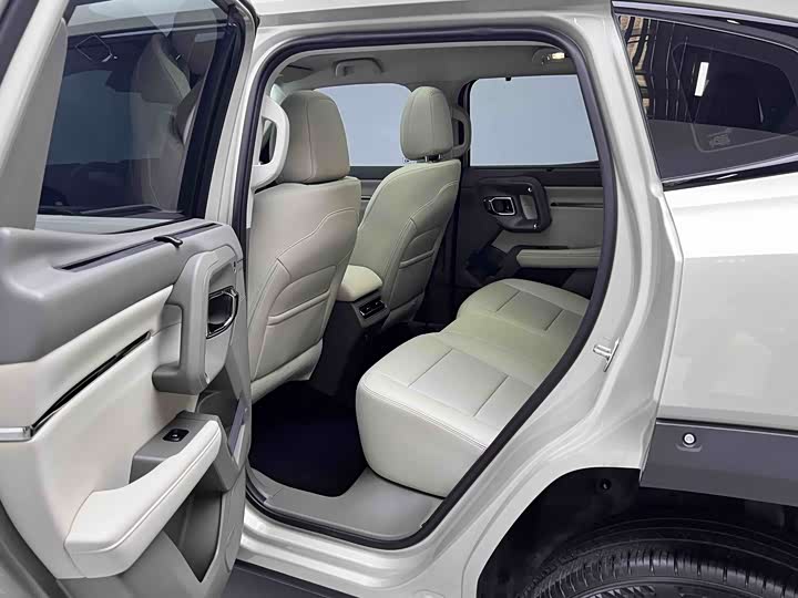 Haval H-Dog Hybrid 2026 2026款 Hi4 150km 潮电版