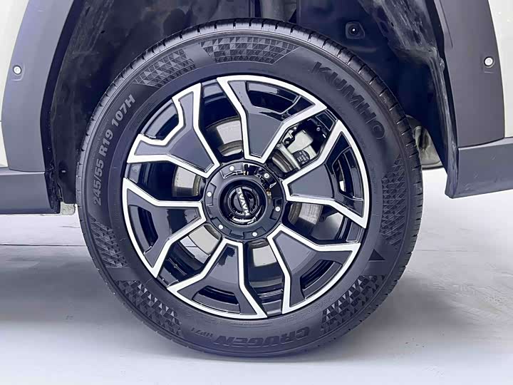 Haval H-Dog Hybrid 2026 2026款 Hi4 150km 潮电版