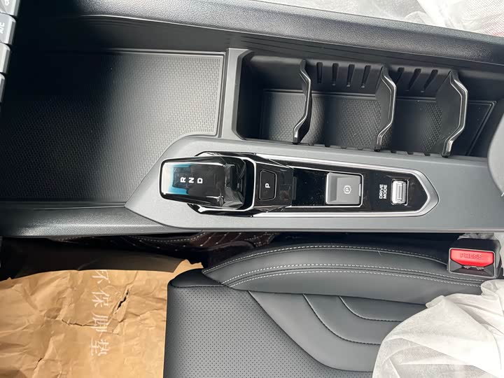 Geely Binrui 2024 2024款 缤瑞COOL 1.5T DCT龙腾版