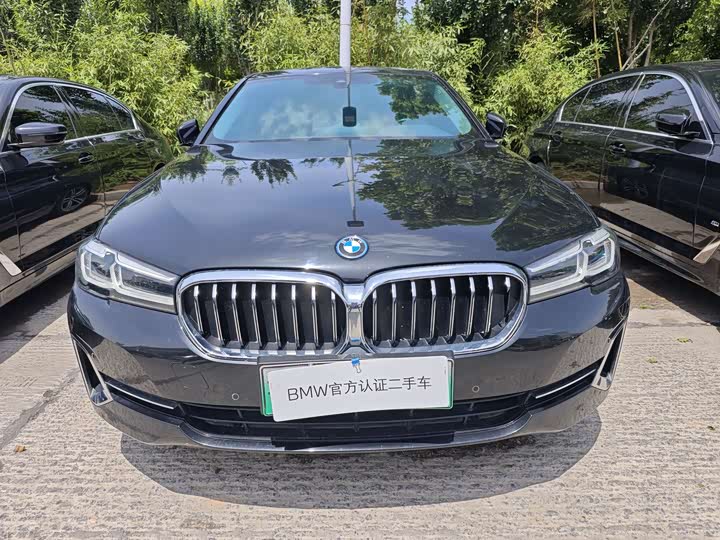 Фото 2 - BMW 5 Series Hybrid