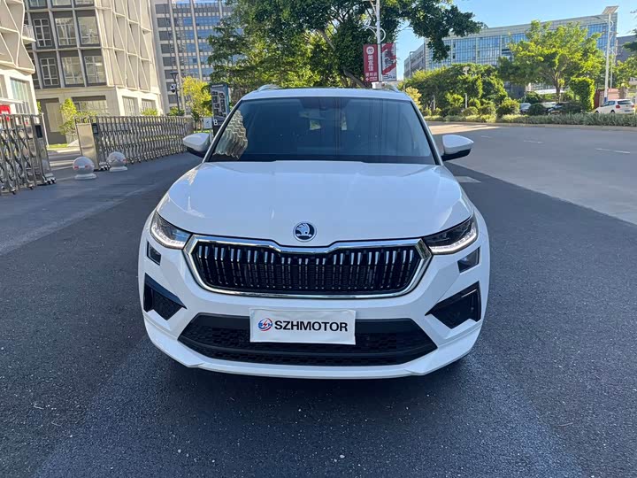 Skoda Kodiaq 2024 2024款 TSI330 5座两驱实力版