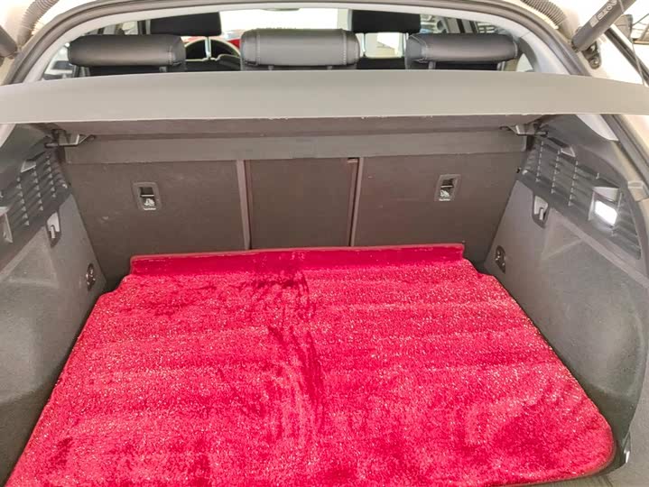 Audi Q2L 2024 2024款 35TFSI 进取动感型