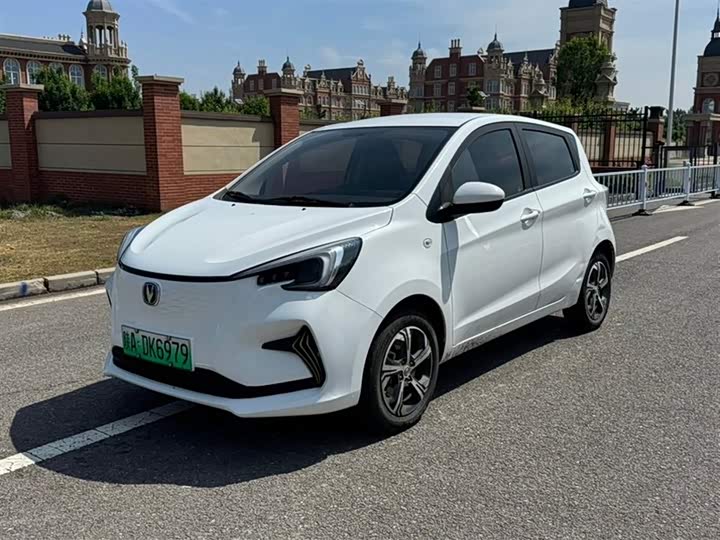 Changan BenBen E-Star 2022 2022款 清心版 多彩款 磷酸铁锂