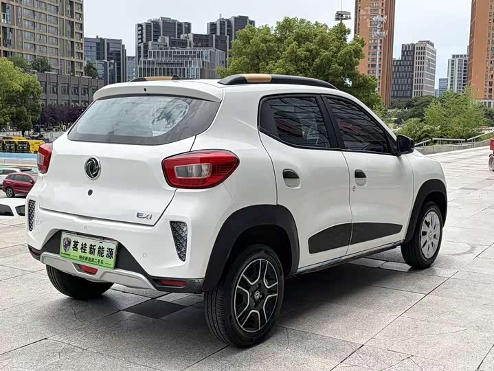 Dongfeng Yipai Nano EX1 2021 2021款 质行版