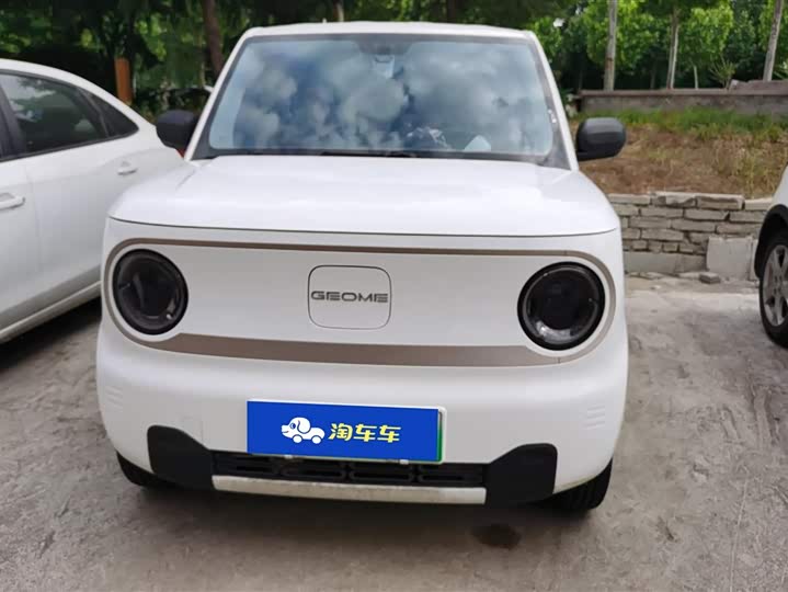 Geely Galaxy Panda Mini 2023 2023款 熊猫mini 200km 耐力熊