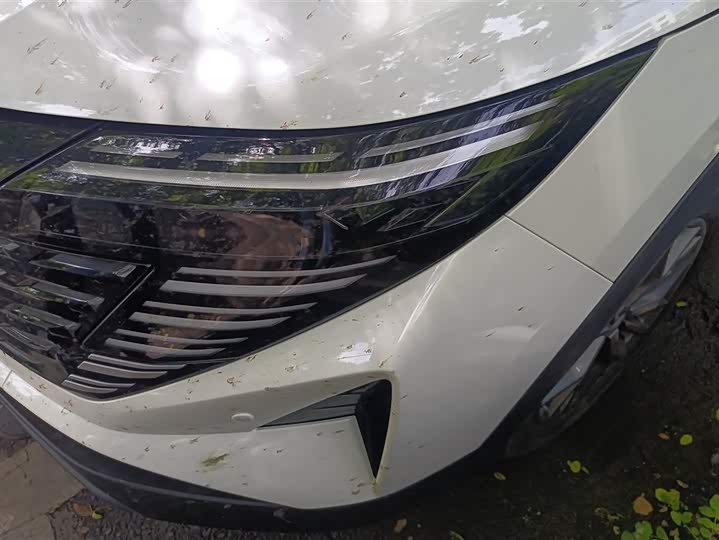 Nissan Qashqai 2025 2025款 荣誉 2.0L CVT XV真心版